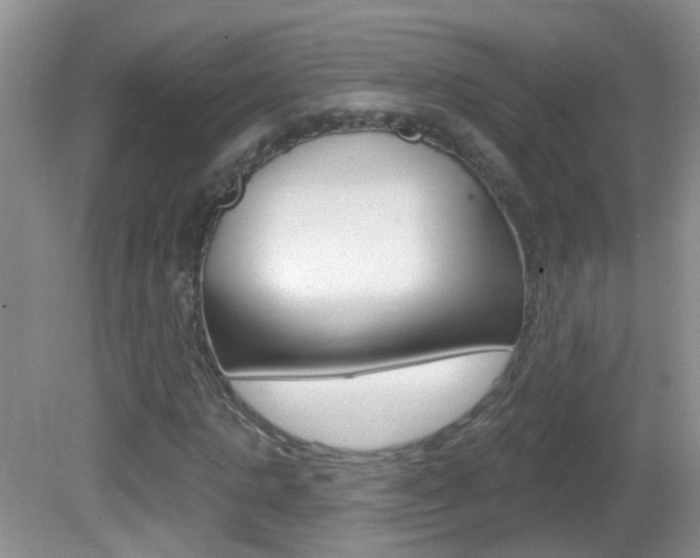 X0000082730821200701261053