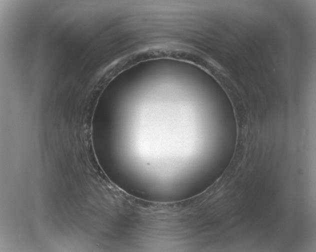 X0000082730822200701261053
