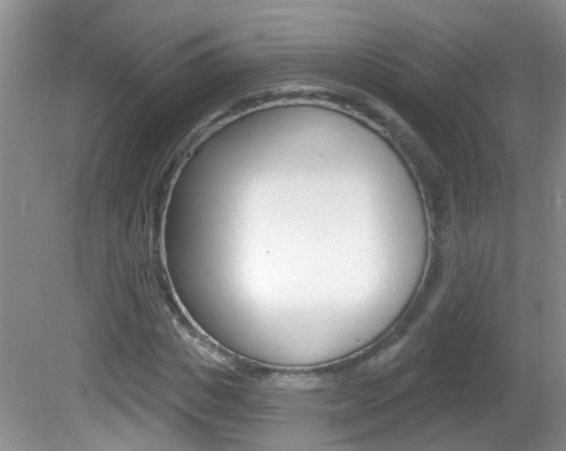X0000082730825200701261053