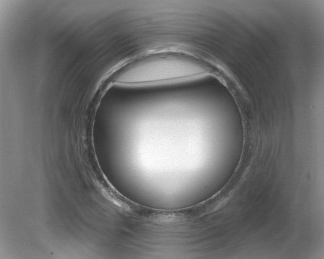 X0000082730826200701261053