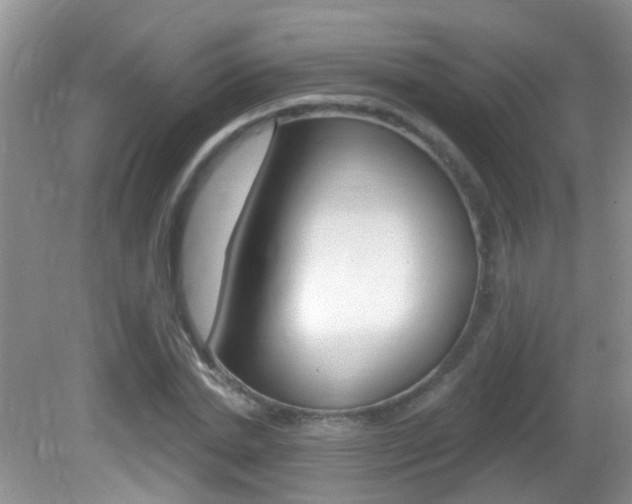 X0000082730830200701261053