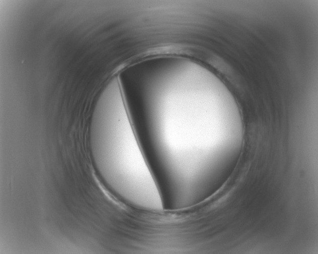 X0000082730841200701261053