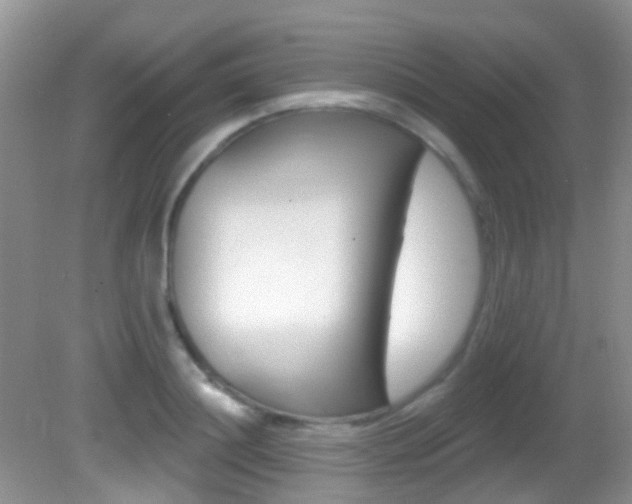X0000082730844200701261054