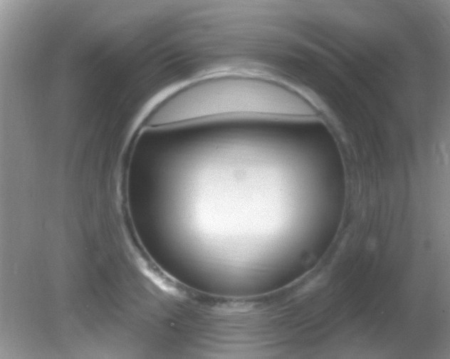 X0000082730846200701261054