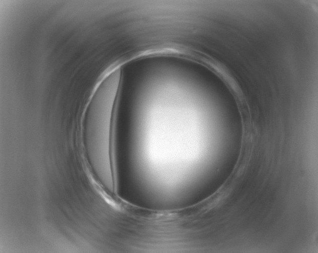 X0000082730858200701261054