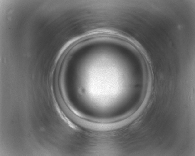 X0000082730862200701261054