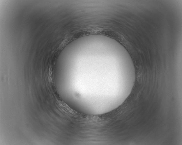 X0000082730866200701261053