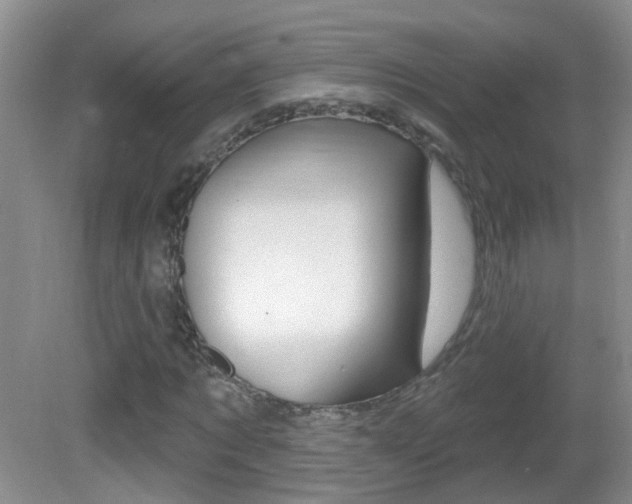 X0000082730869200701261053