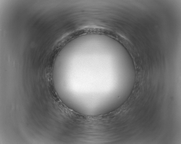 X0000082730870200701261053