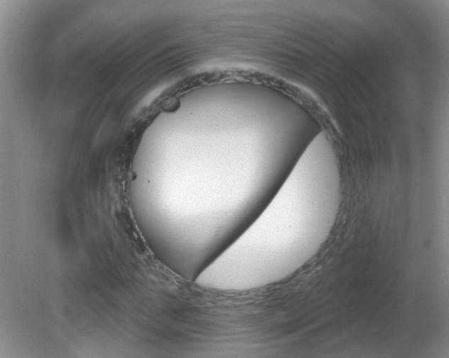 X0000082730871200701261053