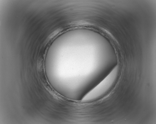 X0000082730873200701261053