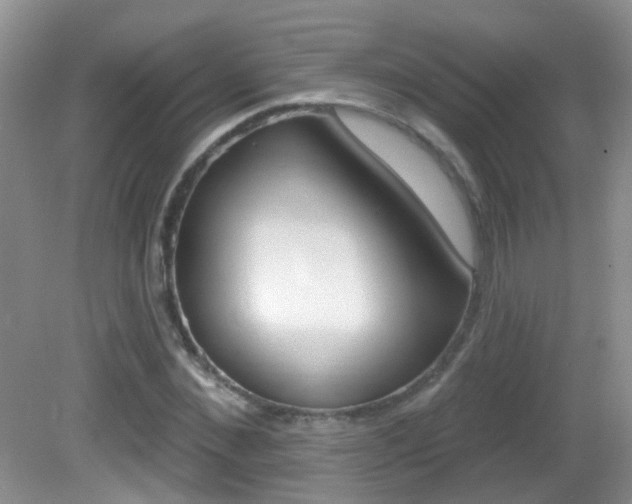 X0000082730876200701261053