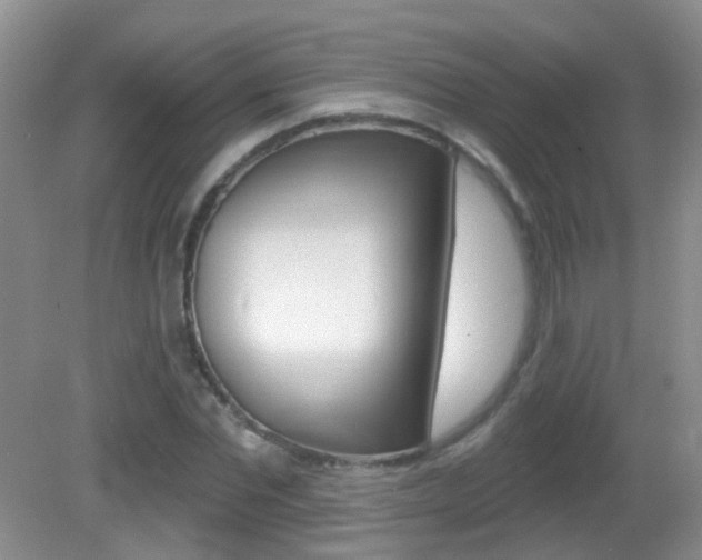 X0000082730877200701261053