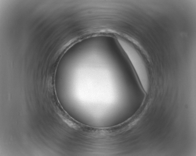 X0000082730881200701261053