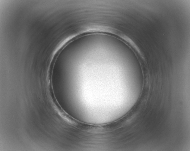 X0000082730885200701261053