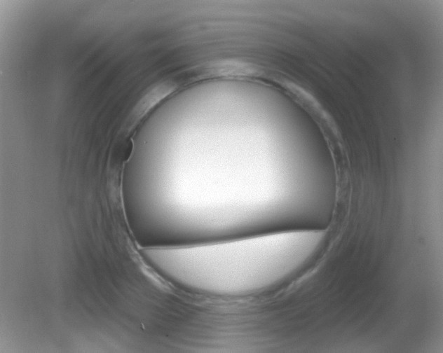 X0000082730889200701261053