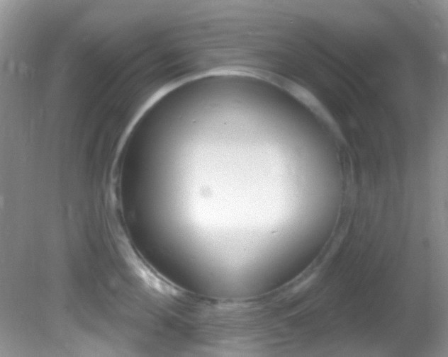 X0000082730908200701261052