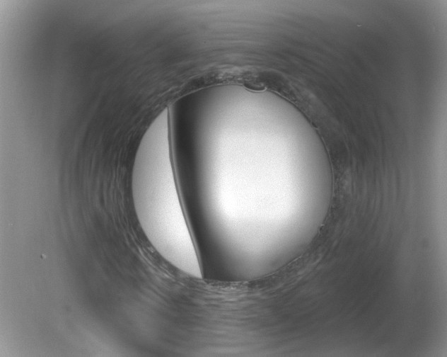 X0000082730914200701261051