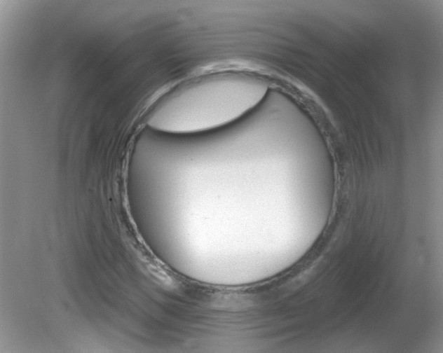 X0000082730921200701261052