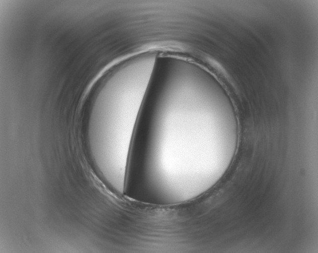 X0000082730923200701261052