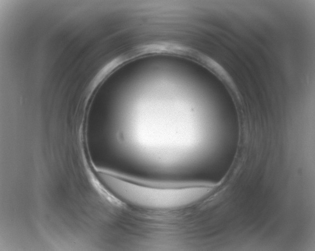 X0000082730946200701261052