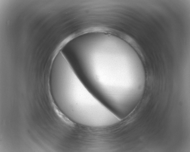 X0000082730954200701261052