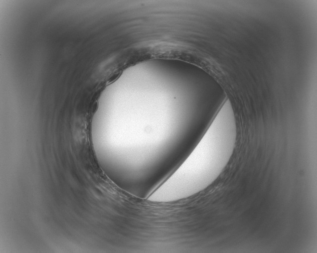 X0000082730964200701261051