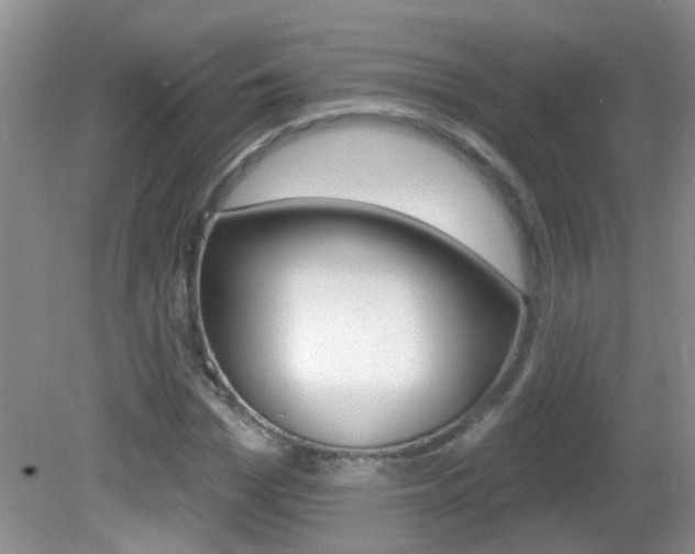 X0000082730969200701261051