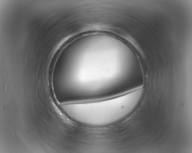 X0000082730972200701261051