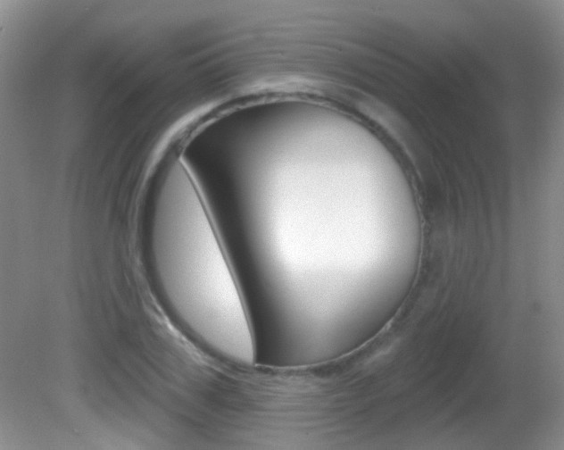 X0000082730979200701261051