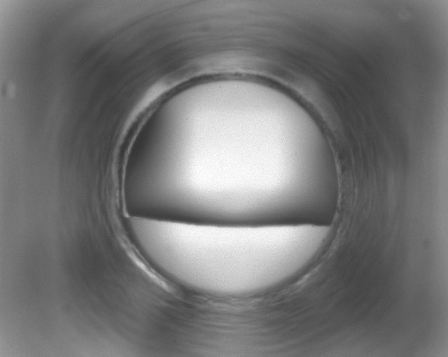 X0000082730982200701261051