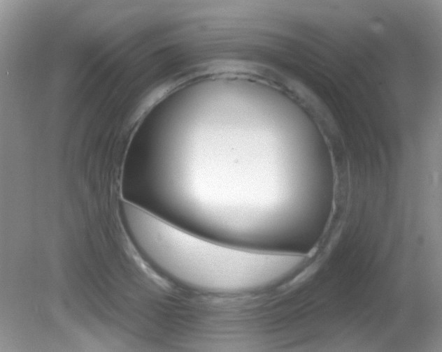 X0000082730985200701261051