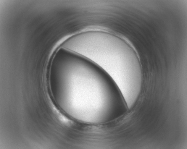 X0000082730995200701261051