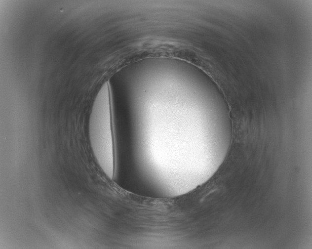 X0000082731013200701261050