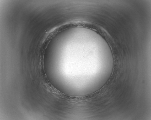 X0000082731016200701261050