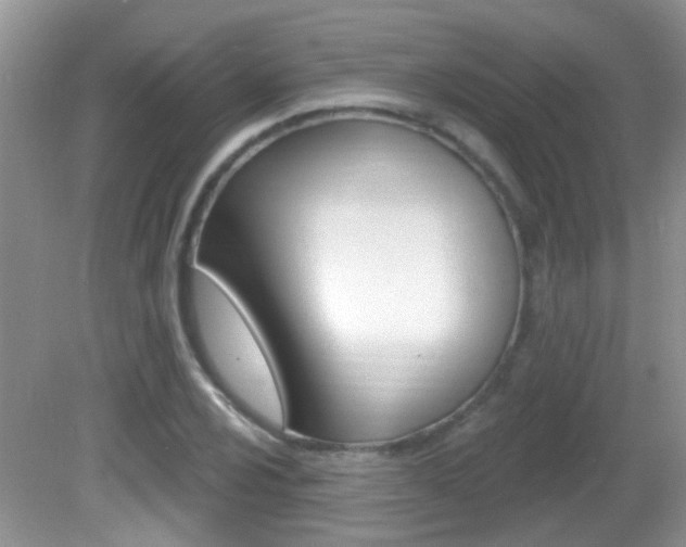 X0000082731024200701261050