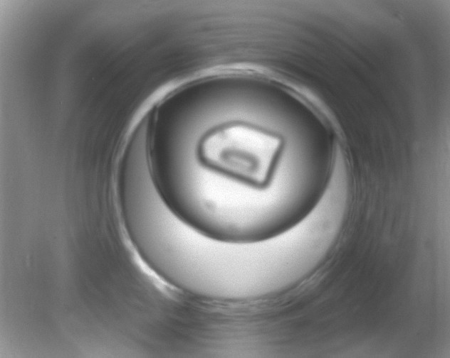 X0000082731054200701261051