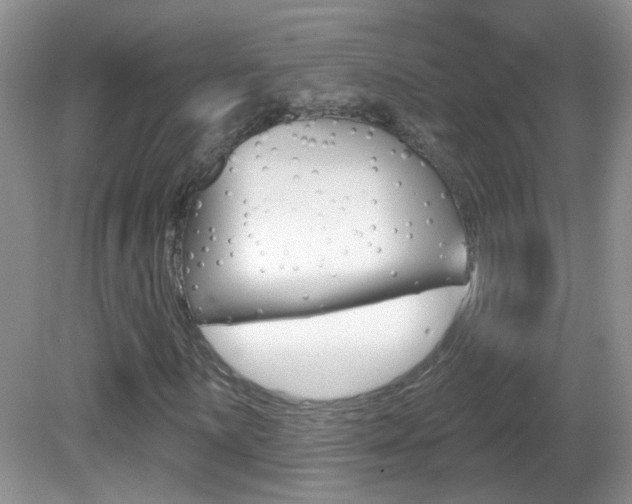 X0000082731059200701261050