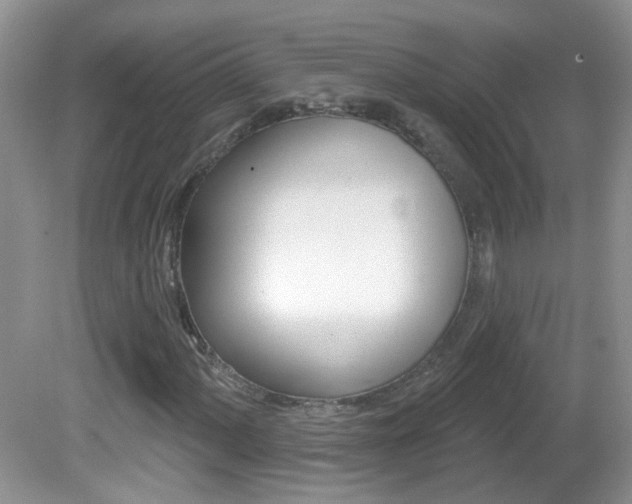 X0000082731060200701261050