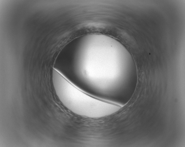 X0000082731061200701261050