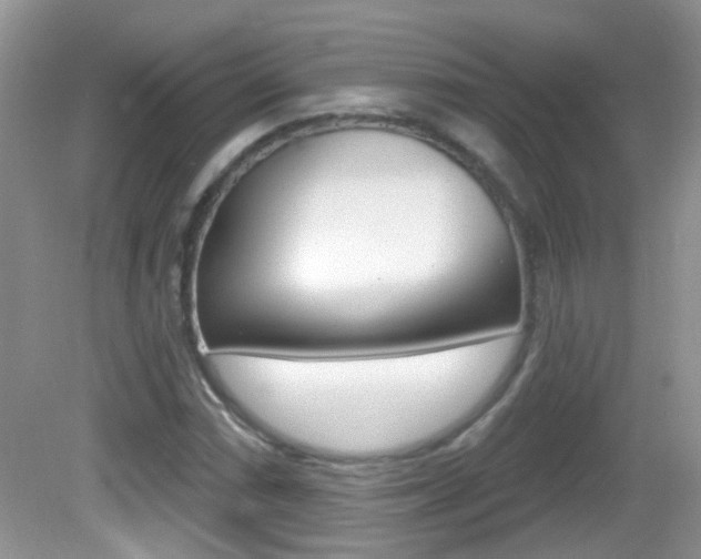 X0000082731066200701261050