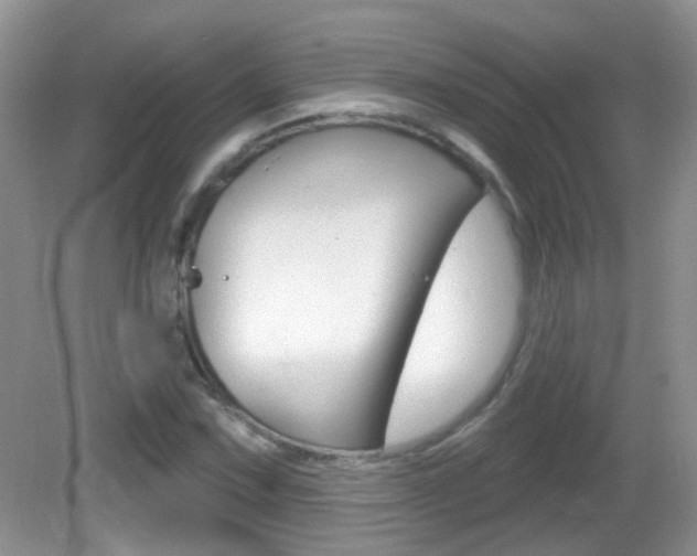 X0000082731067200701261050