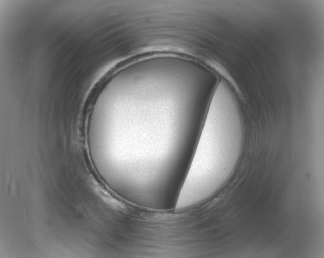 X0000082731068200701261050