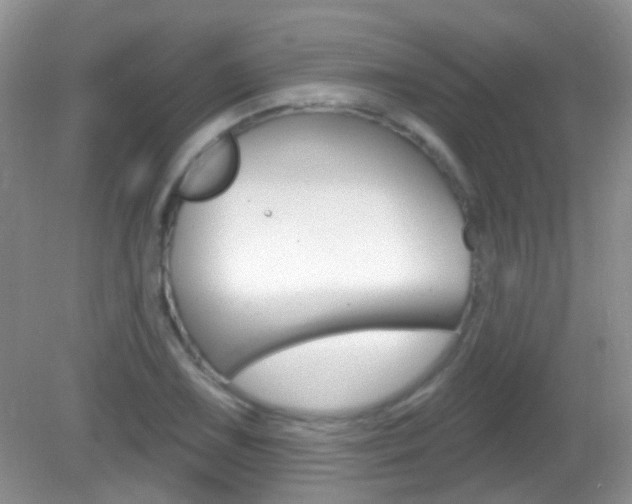 X0000082731075200701261050