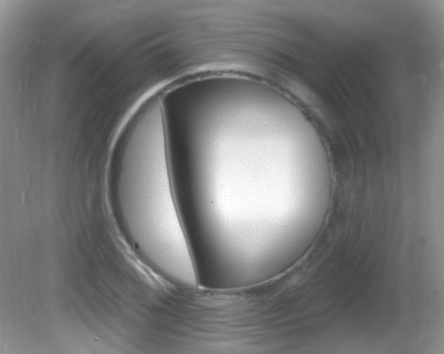 X0000082731076200701261049