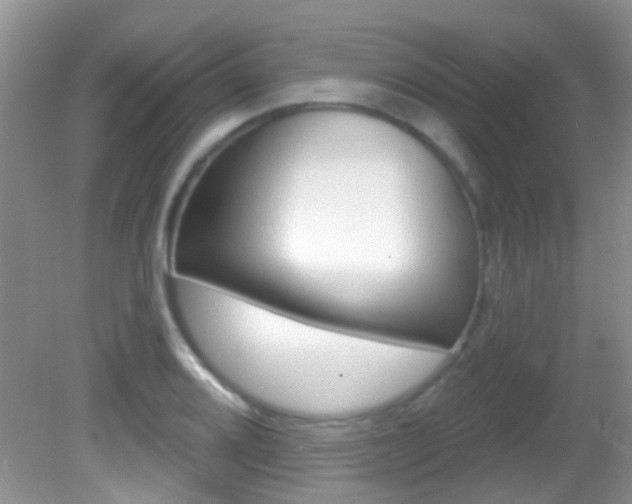X0000082731080200701261049