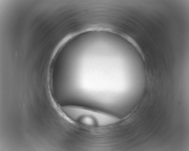 X0000082731096200701261049