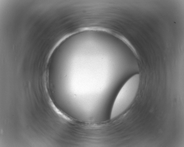 X0000082731100200701261049