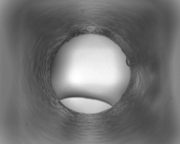 X0000082731105200701261048