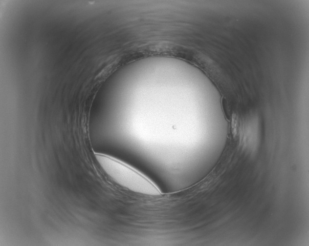 X0000082731107200701261048